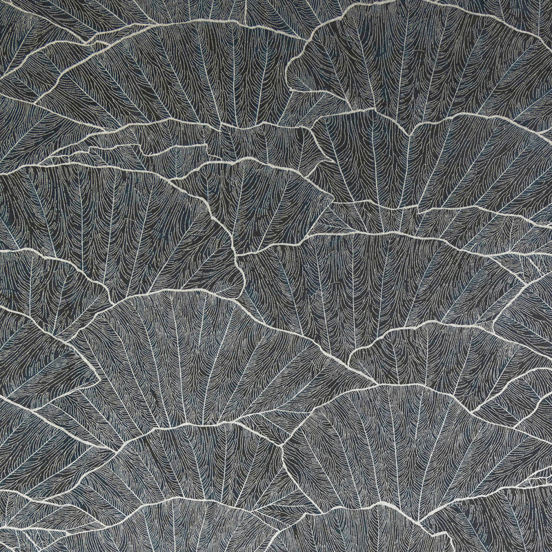 media image for Seashell Wallpaper in Black Blue 21