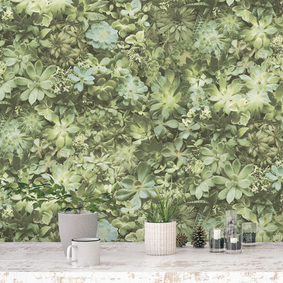 product image for Succulents Wallpaper in Green from the Evergreen Collection by Galerie Wallcoverings 89