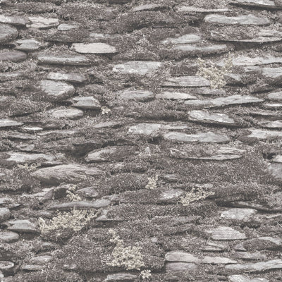 product image for Rock Wall Wallpaper in Grey from the Evergreen Collection by Galerie Wallcoverings 49