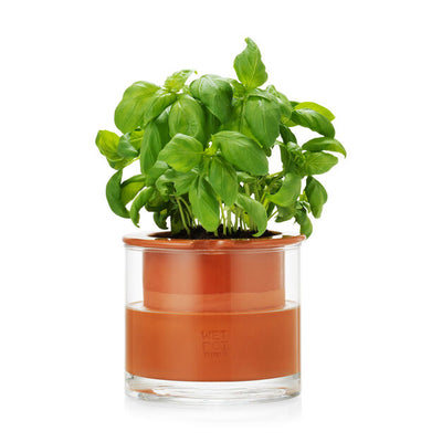 product image of Self-Watering Pot 589
