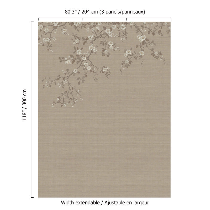 media image for Apple Blossom Wall Mural in Brown/Taupe 251