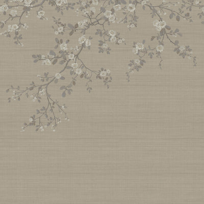 product image for Apple Blossom Wall Mural in Brown/Taupe 80