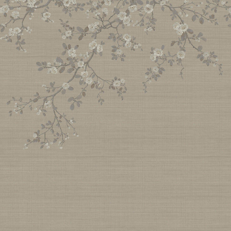 media image for Apple Blossom Wall Mural in Brown/Taupe 276