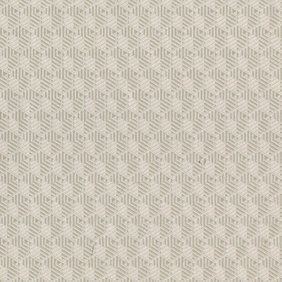 product image of Geometric Hexagon Wallpaper in Silver/Beige 514