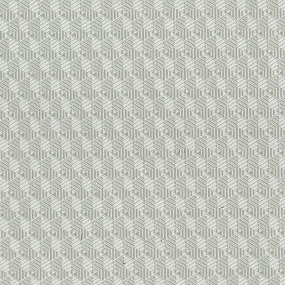 product image of Geometric Hexagon Wallpaper in Silver/Beige 511