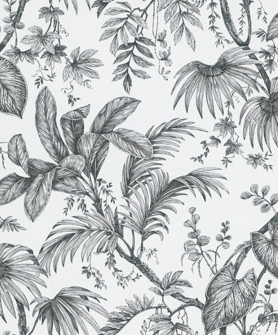 product image of Palm & Foliage Wallpaper in White/Black from the Olio Collection 564