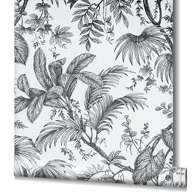 product image for Palm & Foliage Wallpaper in White/Black from the Olio Collection 22