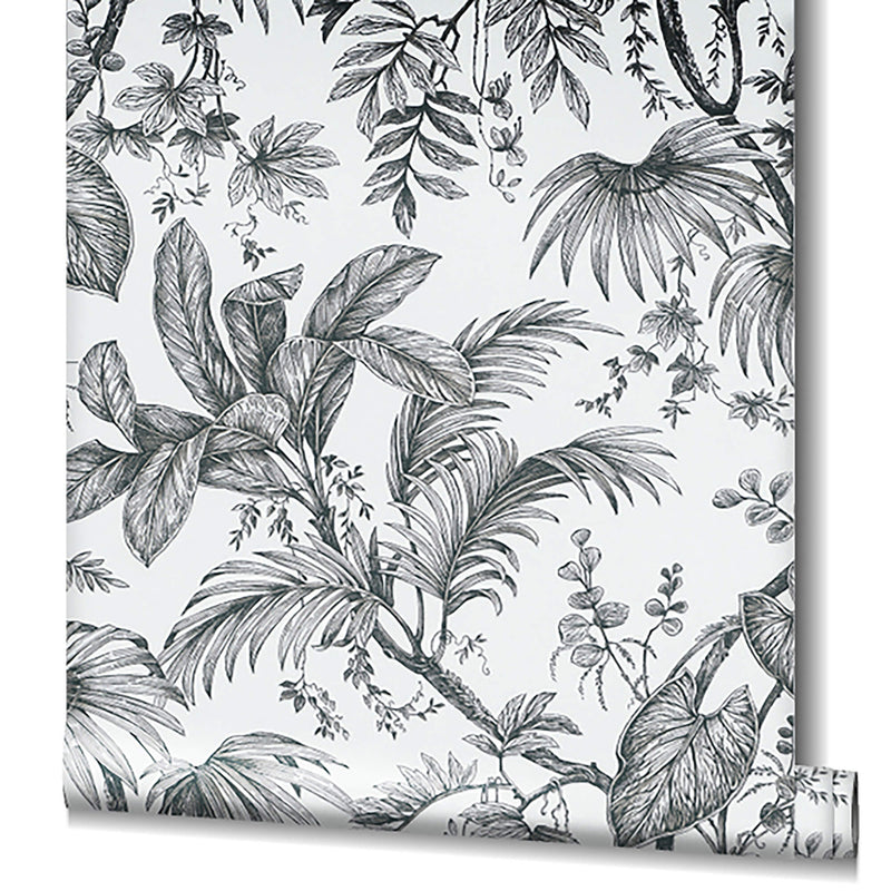 media image for Palm & Foliage Wallpaper in White/Black from the Olio Collection 265