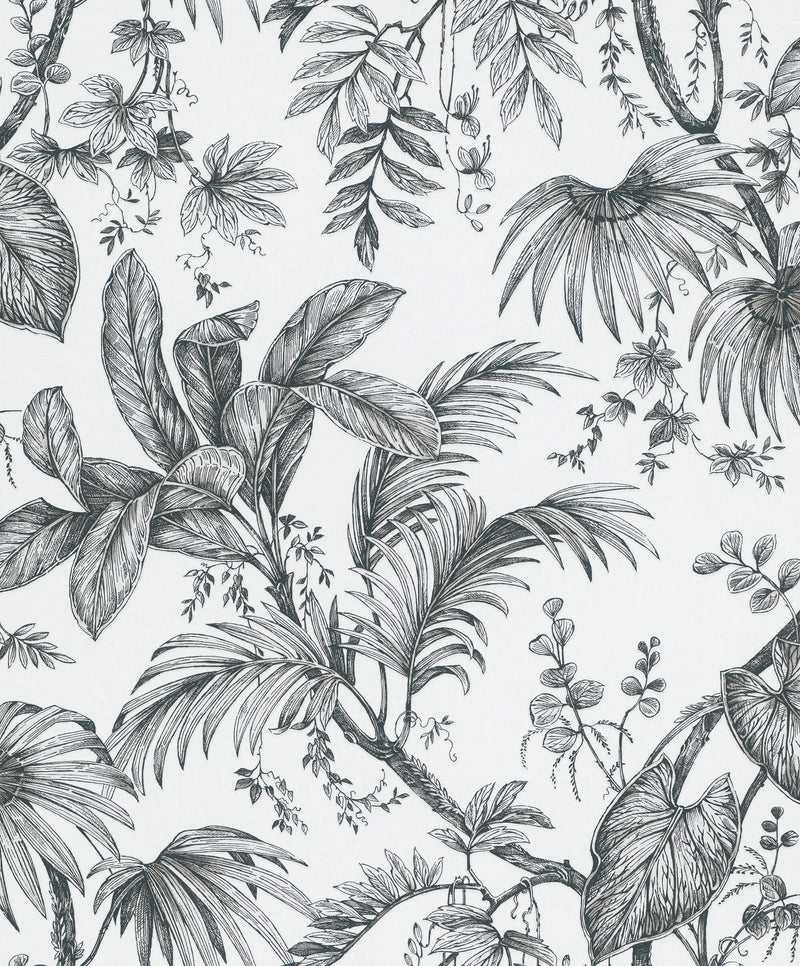 media image for Palm & Foliage Wallpaper in White/Black from the Olio Collection 242