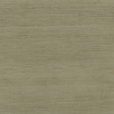 product image of Grasscloth Fine Jute Wallpaper in Dark Sage Green 524
