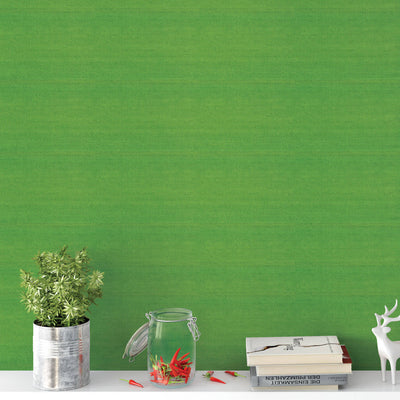 product image for Grasscloth Fine Sisal Wallpaper in Lime Green 50