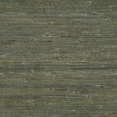 product image of Fine Sancho Wallpaper in Dark Khaki Green 521