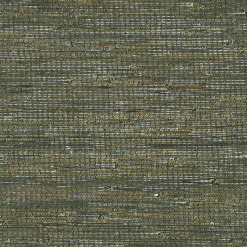 media image for Fine Sancho Wallpaper in Dark Khaki Green 254