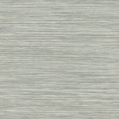 product image of Paper Yarn & Filament Wallpaper in Metallic Grey 551