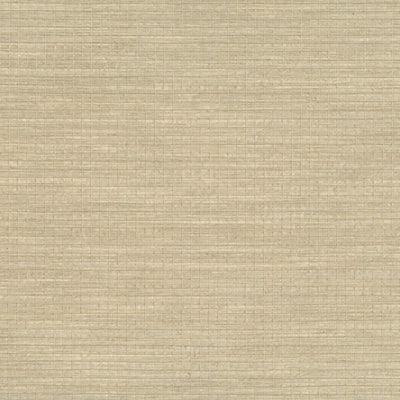 product image of Paperweave Wallpaper in Beige 597