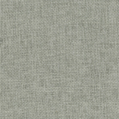 product image of Paperweave Wallpaper in Grey/Silver 514