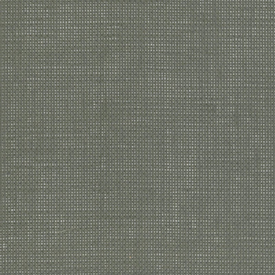 product image of Paperweave Metal Back Wallpaper in Graphite/Silver 551