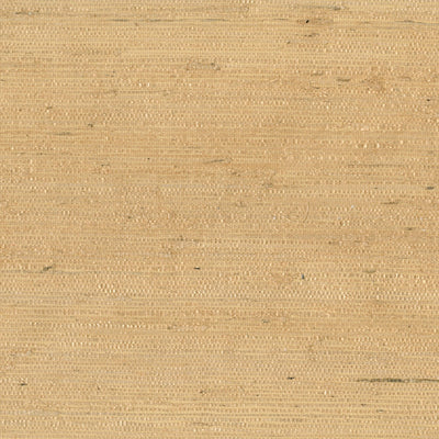 product image of Grasscloth Arrowroot Wallpaper in Light Apricot/Honey 542