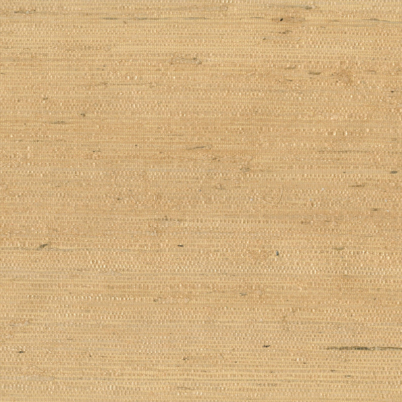 media image for Grasscloth Arrowroot Wallpaper in Light Apricot/Honey 217