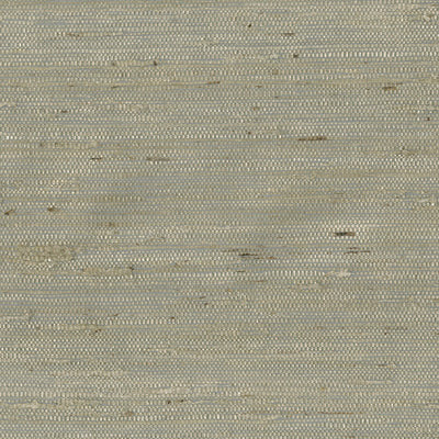 product image for Grasscloth Arrowroot Wallpaper in Laurel Green 58