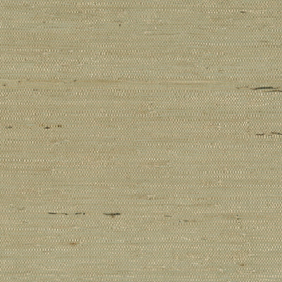 product image of Sample Grasscloth Textural Wallpaper in Sage Green/Gold 543