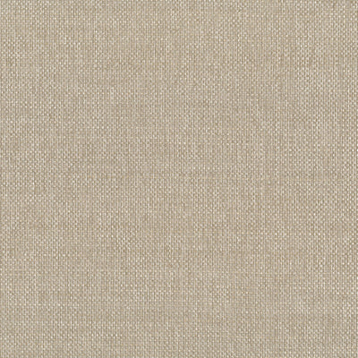 product image of Grasscloth Raffia Wallpaper in Beige Metallic 589