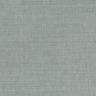 product image of Grasscloth Raffia Wallpaper in Silver/Beige 551