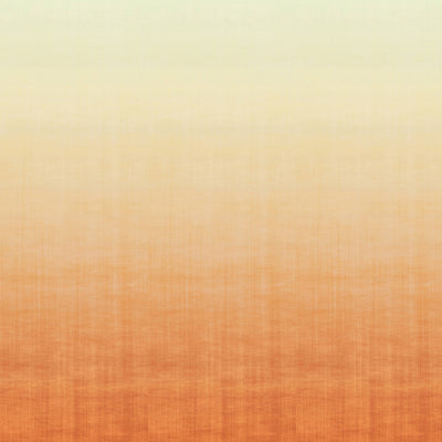 product image for Ombre Soft Blend Wall Mural in Pumpkin Orange 55