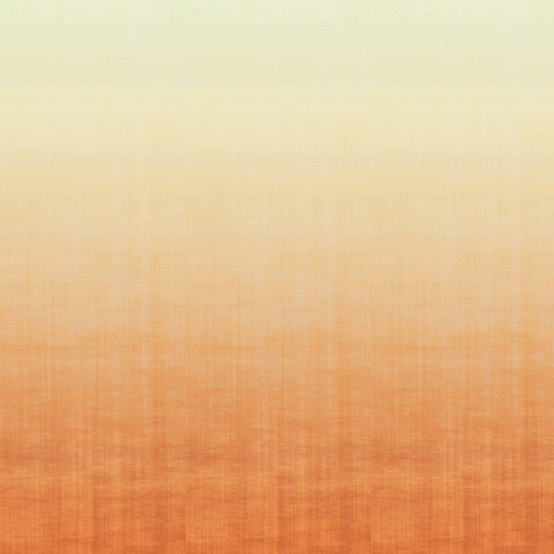 media image for Ombre Soft Blend Wall Mural in Pumpkin Orange 279