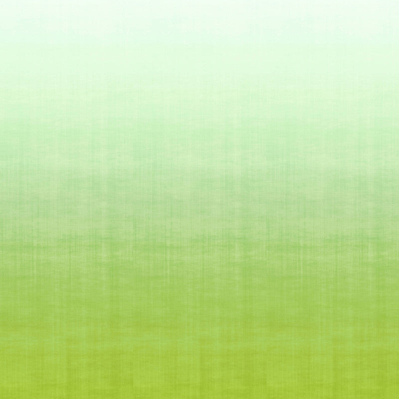 media image for Ombre Soft Blend Wall Mural in Lime Green 276