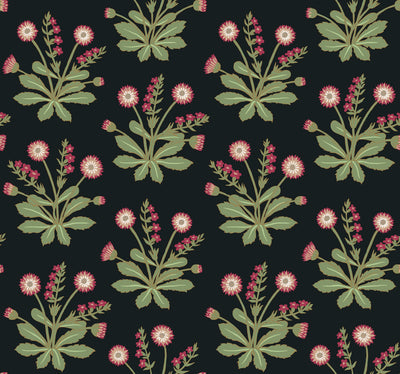 product image for Meadow Flowers Black/Rose Wallpaper from the Arts and Crafts Collection by Ronald Redding 37