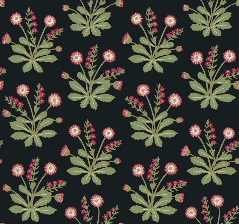 media image for Meadow Flowers Black/Rose Wallpaper from the Arts and Crafts Collection by Ronald Redding 252