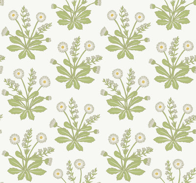 product image for Meadow Flowers White Wallpaper from the Arts and Crafts Collection by Ronald Redding 58