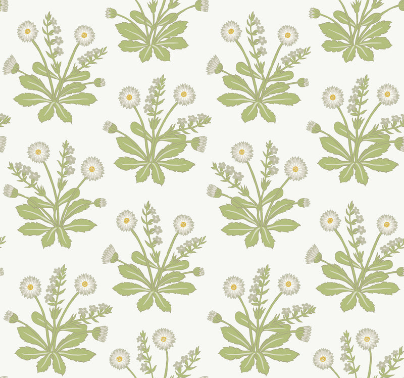 media image for Meadow Flowers White Wallpaper from the Arts and Crafts Collection by Ronald Redding 246