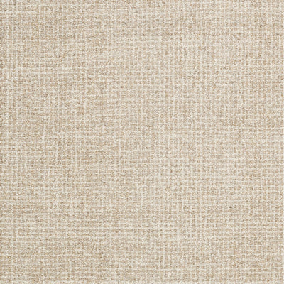 product image for Aiden AEN-1000 Hand Tufted Rug in Khaki & Cream by Surya 21