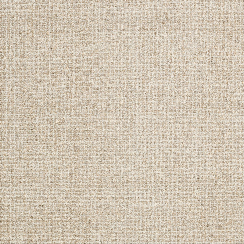 media image for Aiden AEN-1000 Hand Tufted Rug in Khaki & Cream by Surya 223