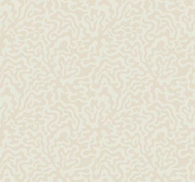 product image of Nebulous Cloud Wallpaper in Almond & Metallic 510