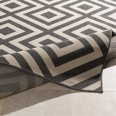 product image for Alfresco ALF-9639 Rug in Black & Cream by Surya 18