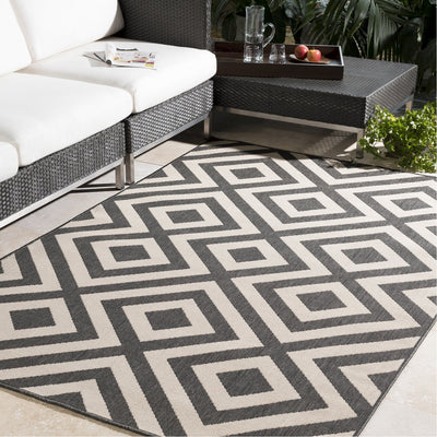 product image for Alfresco ALF-9639 Rug in Black & Cream by Surya 32