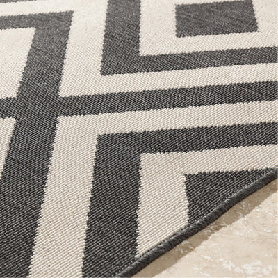 product image for Alfresco ALF-9639 Rug in Black & Cream by Surya 85