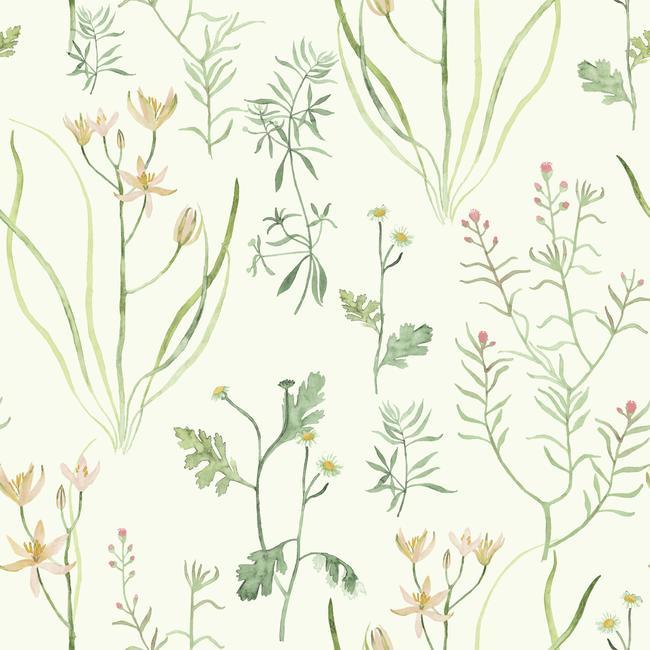 media image for alpine botanical wallpaper in ivory and green from the norlander collection by york wallcoverings 2 273