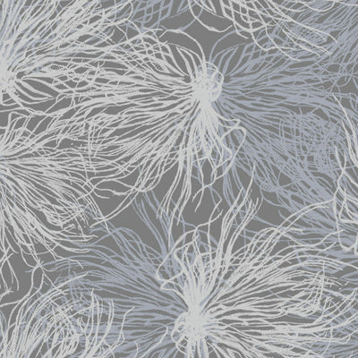 product image of Anemone Wallpaper in Snowflower design by Jill Malek 526