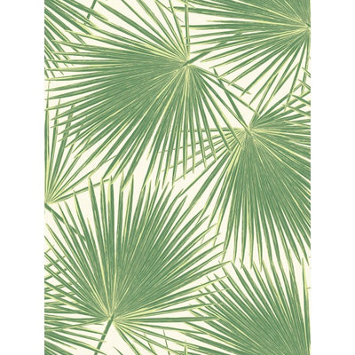 product image for Aruba Wallpaper in Green from the Tortuga Collection by Seabrook Wallcoverings 70