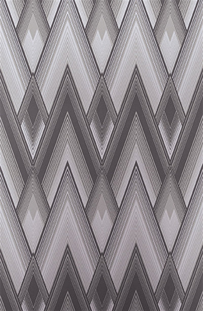product image for Astoria Wallpaper in Graphite and Silver from the Fantasque Collection by Osborne & Little 99