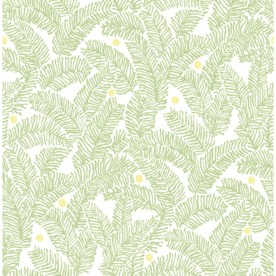 product image of Athina Fern Wallpaper in Sage from the Pacifica Collection by Brewster Home Fashions 581