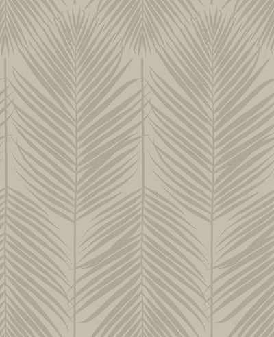 product image of Persei Palm Wallpaper in Champagne 568