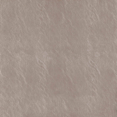 product image of Beauty Fabric in Taupe 592