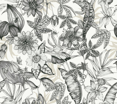 product image for Rainforest Wallpaper in Charcoal from the Blooms Second Edition 83