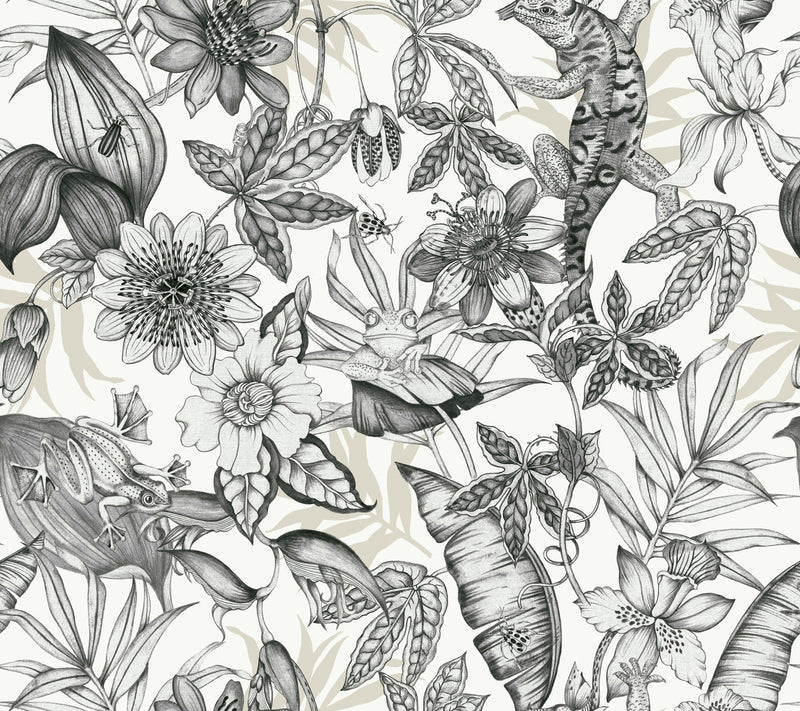 media image for Rainforest Wallpaper in Charcoal from the Blooms Second Edition 234