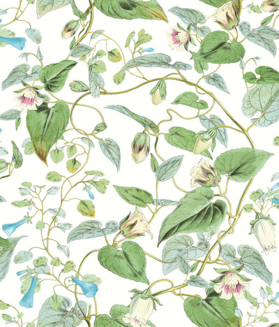 product image of Moon Flower Wallpaper in White from the Blooms Second Edition 523